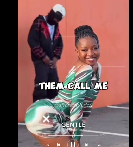 Big Smur Lee – Them Call Me Gentle Investor