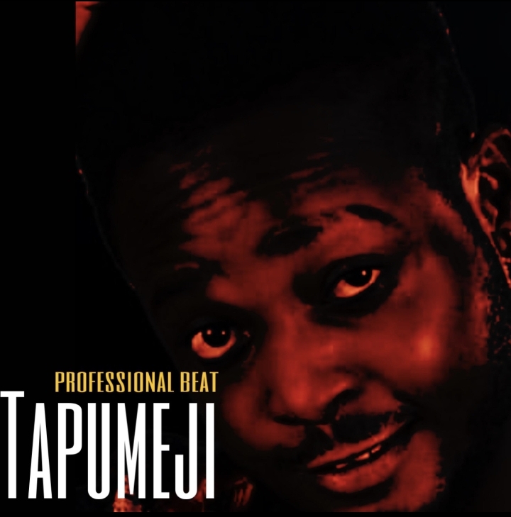 Professional Beat – Tapumeji